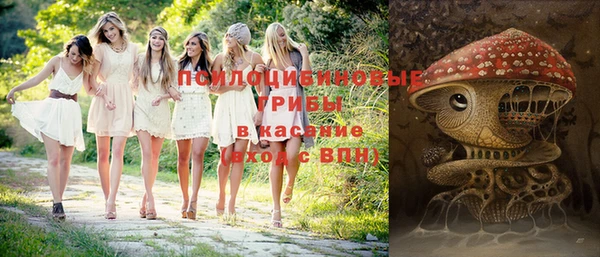 дурь Алексеевка