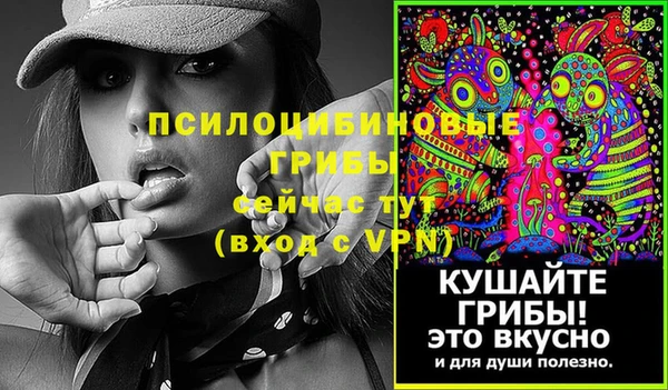 соль курить ск Алзамай