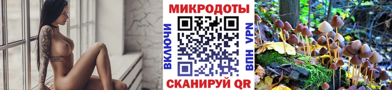 Галлюциногенные грибы Magic Shrooms  где купить   Байкальск 